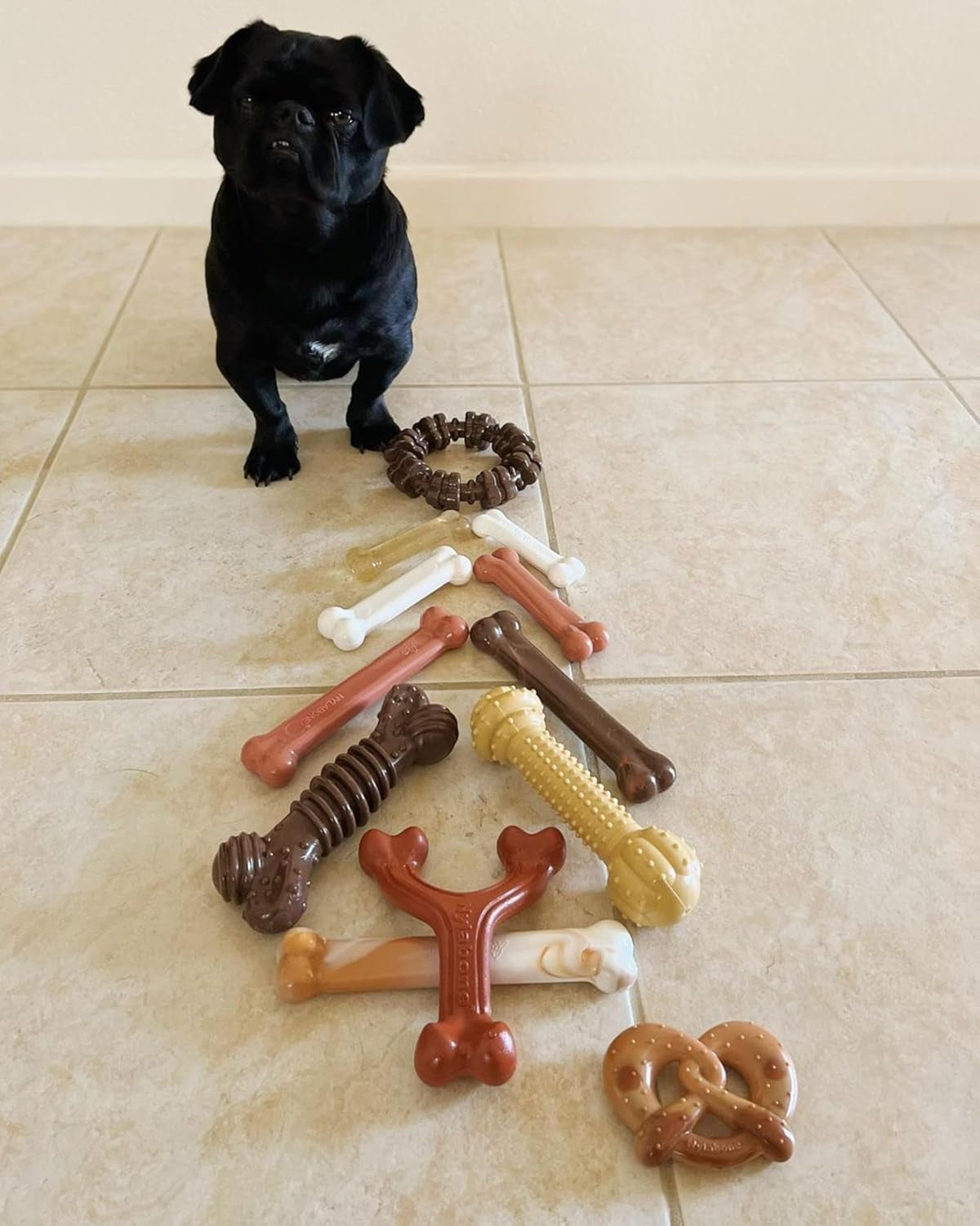 Wishbone Dog Chew Toys for Adult Dogs and Puppies