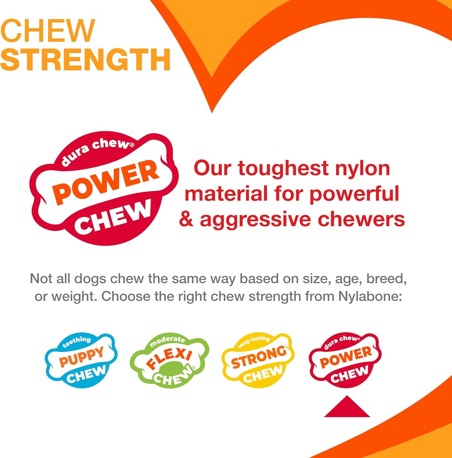 Wishbone Dog Chew Toys for Adult Dogs and Puppies